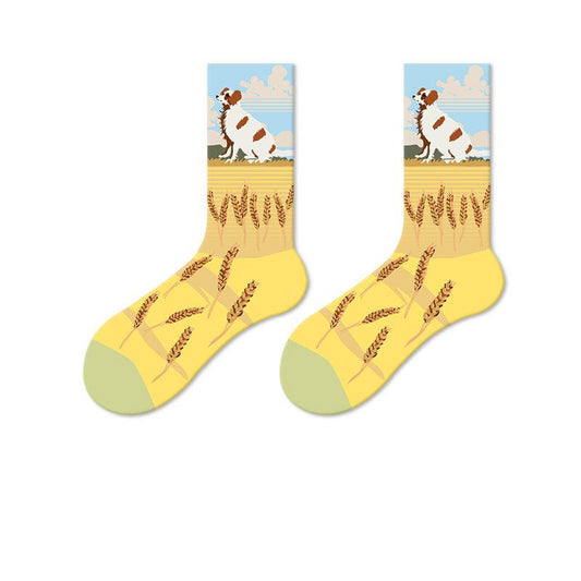 Socks - dog